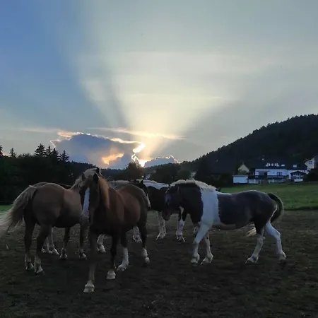 Am Tor Zum Thueringer Wald * Plaue (Thuringia)